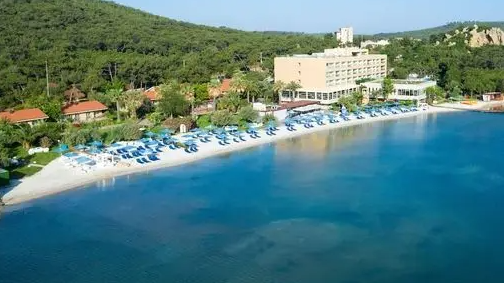Ayvalık Transfer